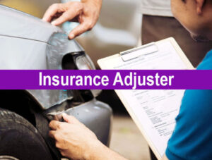 Insurance Adjuster